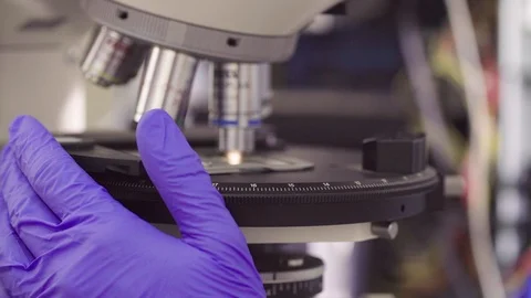 Slide glass under the light microscope lens Video stock 87951440