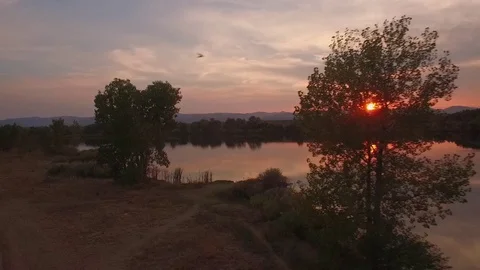 Slide into lake, birds through frame, trees, sunset Stock Footage 73503030