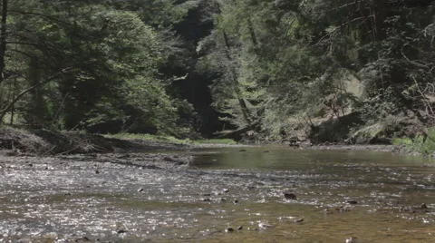 Slide from Left ot Right of Clear River Stock Footage 62546551