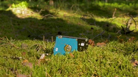 Slide out shot of used computer hard drive as a pollution to the forest Stock Footage 155421252
