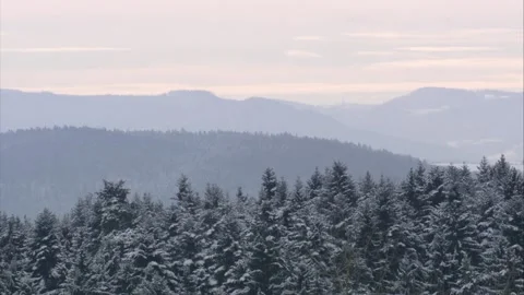 Slide over snow-covered treetops, forests and lakes Stock Footage 288959567