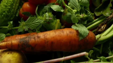 Slide over the table with vegetables Stock Footage 137771364