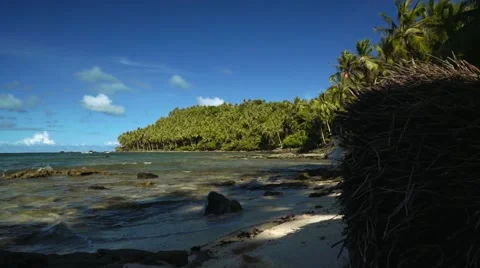 Slide from palm tree roots on tropical beach with white sand, palm trees Stock Footage 67441978