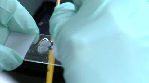 Slide Preparation Stock Footage 5503663