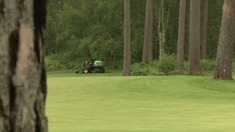 Slide right to left from behind a tree as a greens keeper mows a golf course Stock Footage 80468448