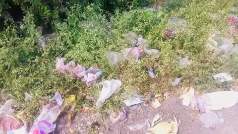 Slide Shot of Environment Polluted with Littered Plastics Stock Footage 197833333