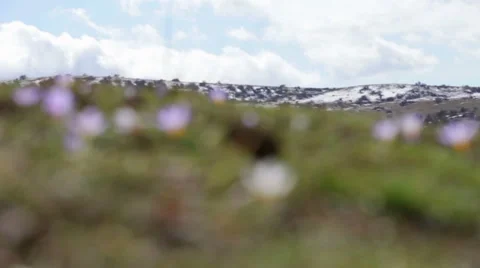 Slide shot of the mountain Video stock 62779638