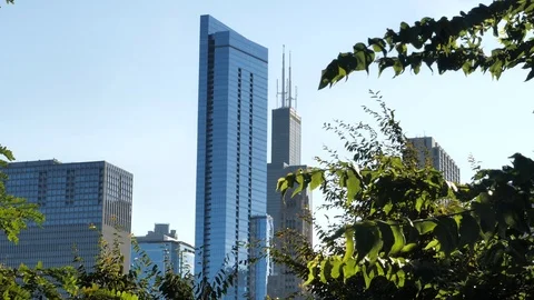 Slide shot of the Sears Tower - 3 clips Stock Footage 125826978