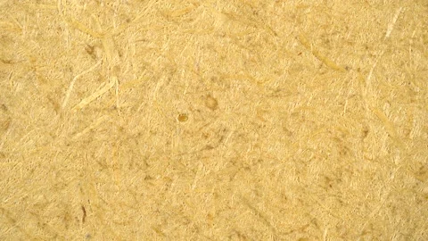 Slide shot of the surface of a fiberboard wall. Macro dolly texture of a wood Stock-Footage 204855128