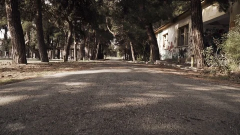 Slide from the street to the top inside the forest,A spring sunny day Stock Footage 105038388