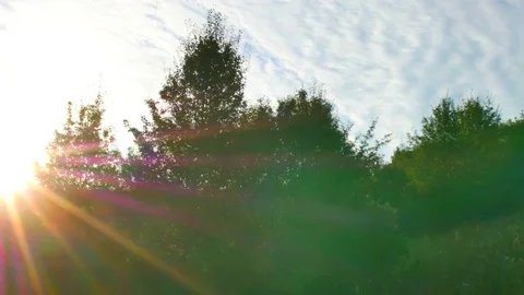 Slide to Sunset from Field to Forest Stock Footage 80874493