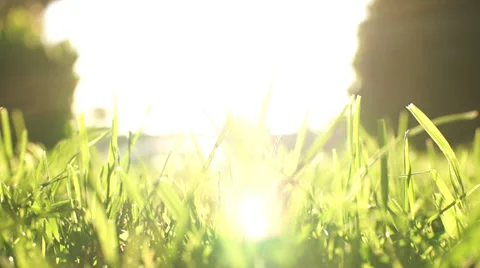 Slide Through Grass Stock Footage 29252281