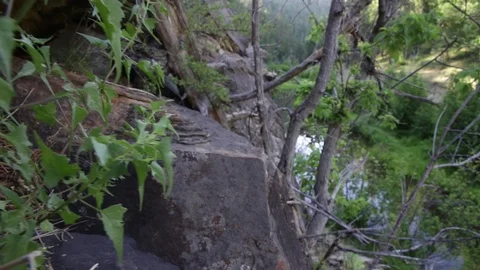 Slide through rocks and brush over forest river Stock Footage 93996249