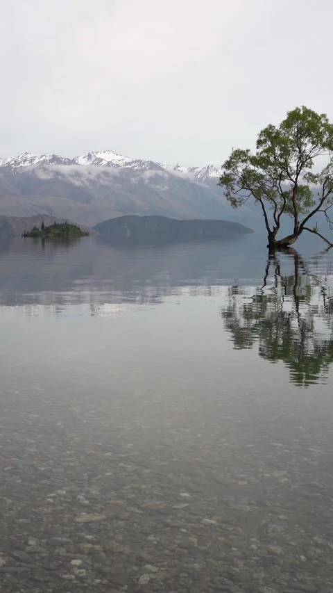 Slide transition of Iconic tree in the middle of a lake with mountain view .. Stock Footage 288498873