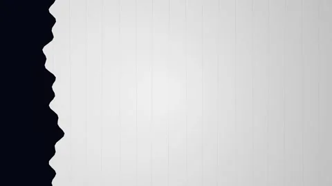 Slide Transitions Minimalist White Vertical Slats Reveal Animation Stock Footage 345863530