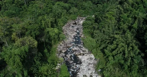 Slide video Tropical waterfall rainforest in deep mountain with rocky Video stock 134450060