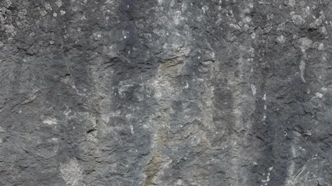 Slide view of the rock, camera goes down in slow motion. Nature reserve. Stock Footage 144437830