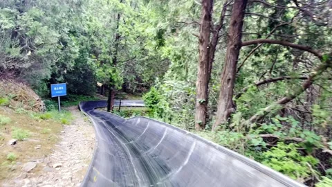 Slide Weaving Through the Woods Stock Footage 315935778