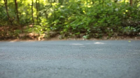 Slider Closeup on Road in Forest Stock Footage 47829272
