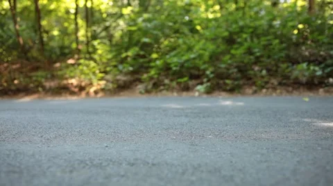 Slider Closeup on Road in Forest Stock Footage 47829410