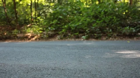 Slider Closeup on Road in Forest Stock Footage 47829414
