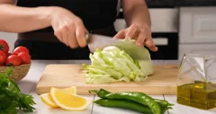 Iceberg Lettuce Cutter - Contacto Bander GmbH - Professional