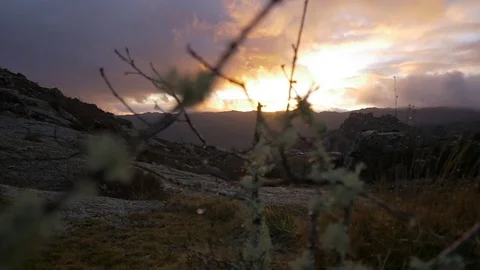 Slider monutain sunset winter branches Stock Footage 79995734