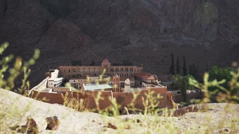 Slider motion view through the bushes of Saint Catherine Monastery in Egypt Видео 254208139
