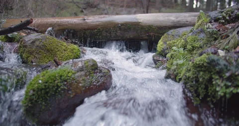 Slider of natural spring flowing like a river Stock Footage 220918507