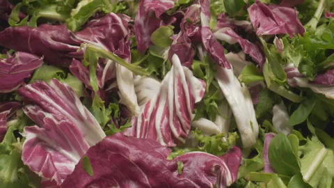 Slider shot of cabbage and other vegetables Stock Footage 236704381