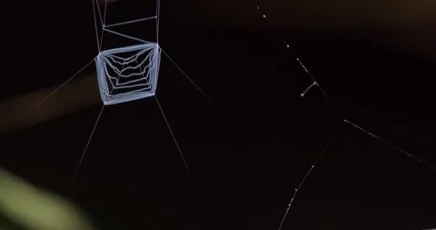 Slider shot of a discarded Net of the Net Casting Spider with dark Stock Footage 195229624