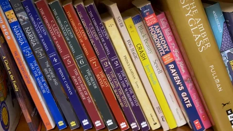Slider shot of elementary books on a library shelf Video stock 93899786