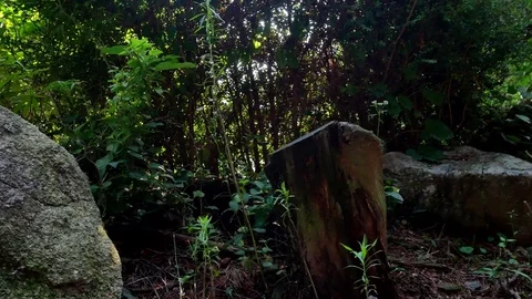 Slider shot: Stockbeeldmateriaal 80150340