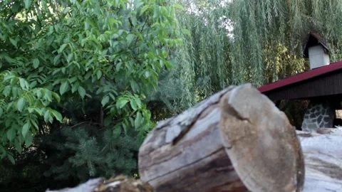 Slider shot Stock Footage 142746347