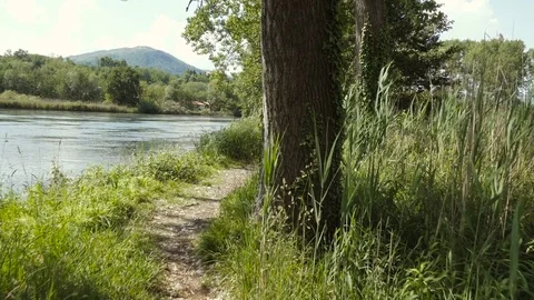 Slider Shot of a Footpath Towards the River in a Sunny Day Stock Footage 75837110