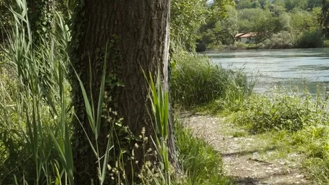 Slider Shot of a Footpath Towards the River in a Sunny Day Stock-Footage 78066128