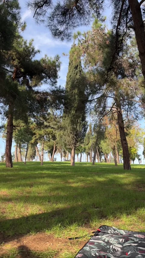 Slider shot at ground level showing a picnic blanket and green park landsca.. Stock Footage 332853228