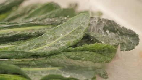 Slider shot of kale being washed in slow motion Stock Footage 82830255