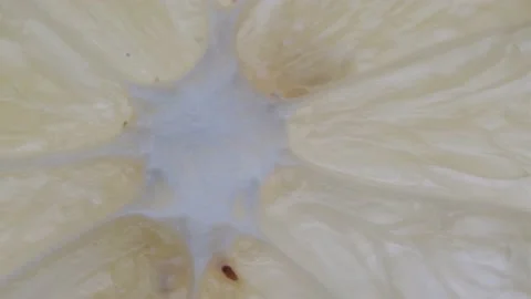 Slider shot of lemons macro Stock Footage 168069326