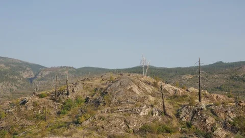 Slider shot- mountain devastated by forest fire 4k. Video stock 96561975