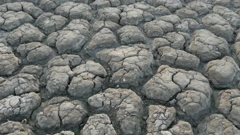 Slider shot of mud cracks in the parched soil. Texture Stock Footage 94816982