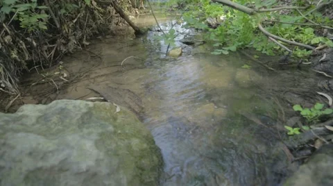 Slider shot over a stream of water Stock Footage 43858741