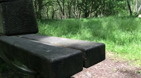 Slider shot of park bench Stock Footage 51530295