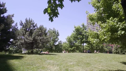 Slider shot in the park on a summer day. Видео 80426697
