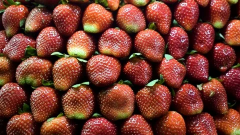 Slider shot of piled strawberries Stock Footage 102221664