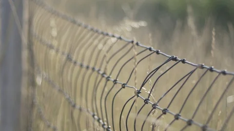 Slider Shot Slide Along Wire Fence Farm Tall Grass Hay Stock Footage 87878110