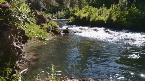 Slider shot on a small, pretty stream Stock Footage 32346397