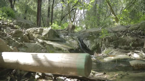 A slider shot of a small water stream in a forest Stock Footage 43858513
