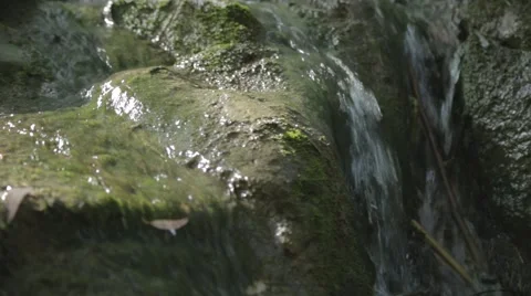 A slider shot of a small water stream in a forest Video stock 43858577