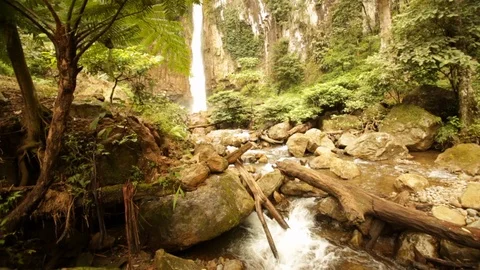 Slider shot of stream running from waterfall in Indonesian jungle Stock Footage 107652795